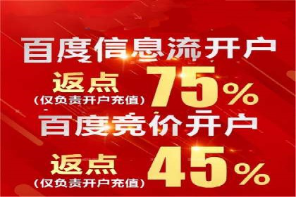 解析百度竞价广告的计费规则及成功投放案例
